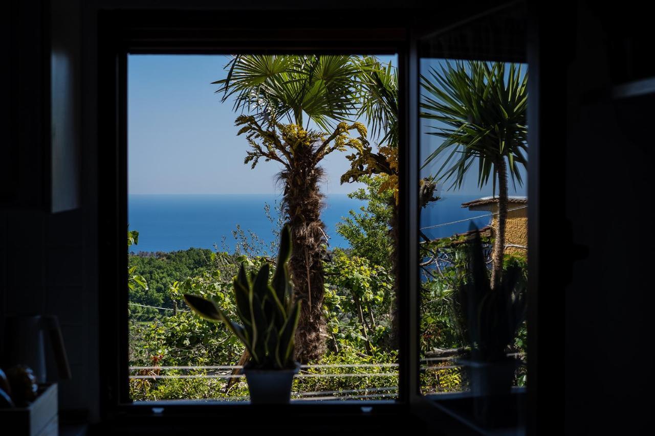 Nonna Carmela Apartment SantʼAgata sui Due Golfi المظهر الخارجي الصورة